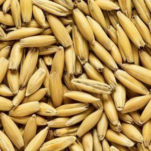 Simpsons Malted Oats